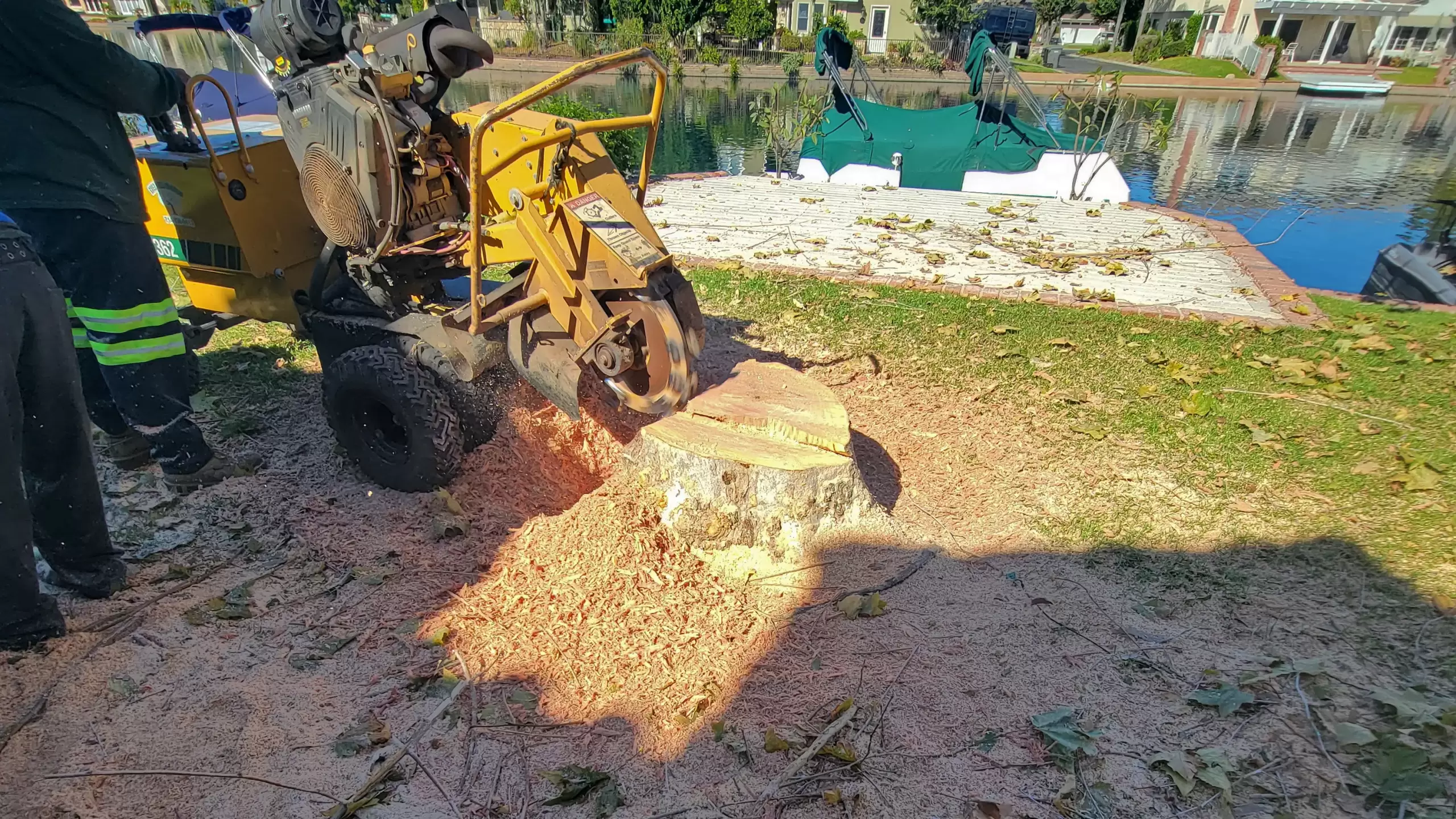 STUMP REMOVAL